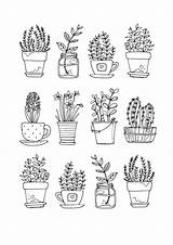 Plant Doodle Plants Drawing Doodles Simple Draw Sketch Choose Board Sketches Flowers sketch template