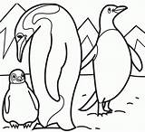 Pinguin Kostenlos sketch template