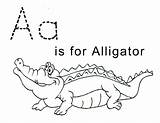 Alligator Coloring Pages Letter Printable Kids Template Crocodile Tracing Print Sheets Trace Preschool Color Sheet Lawteedah Alligators Baby Activity Crafts sketch template