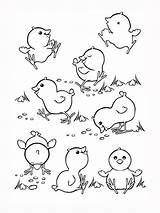 Coloring Pages Chickens Chicks Chicken Popular sketch template