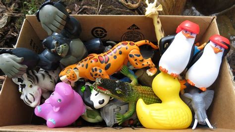 box filled   zoo animal toys youtube