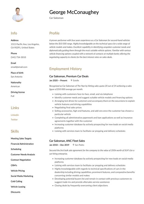 sales resume examples guides   downloads