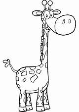 Giraf Tegninger Giraffa Outlined Girafa Desenho Scribblefun Coloridos Kategorier Escolha sketch template