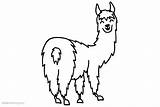 Llama Coloring Pages America South Printable Kids Adults sketch template