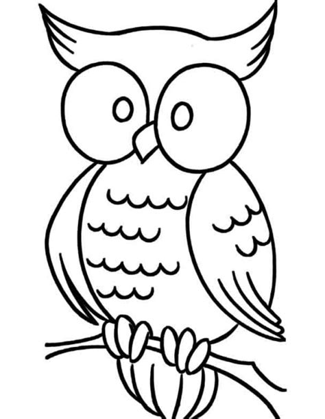 owl colouring pages clipart