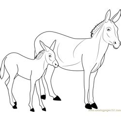 donkey coloring pages  kids printable