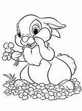 Coloring Pages Thumper Disney Kids Easter Colors Bunny sketch template
