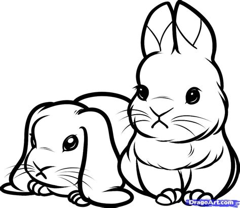 bunny rabbit colouring coloring easy