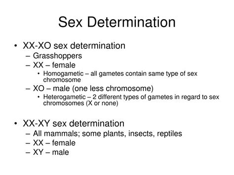 Ppt Chapter 4 – Sex Determination And Sex Linked Characteristics