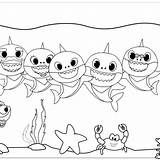 Shark Coloring Pinkfong Mitraland Sharks Pirate sketch template