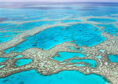 visit  great barrier reef australia audley travel uk