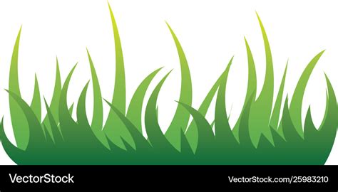 grass template royalty  vector image vectorstock