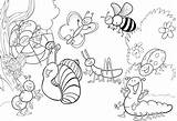 Insectos Prado sketch template