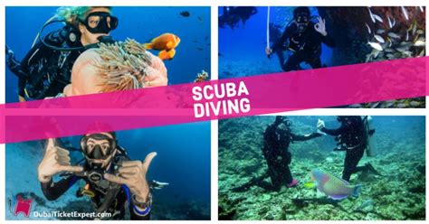 scuba diving  dubai  discount  price