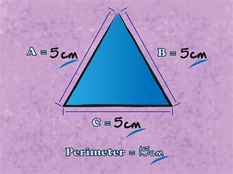 ways  find  perimeter   triangle wikihow