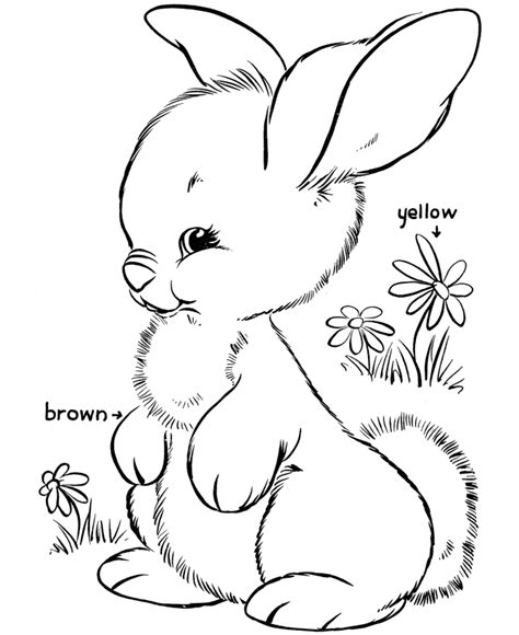 mendem community designs coloring pages easter bunnies