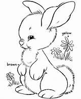 Coloring Rabbit Pages Easter Printable Kids sketch template