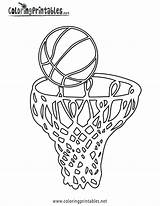 Kobe Basketball Coloringhome sketch template