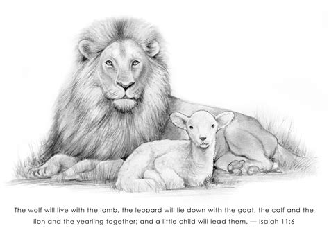 lion  lamb  gregchapin  deviantart lion  lamb watercolor