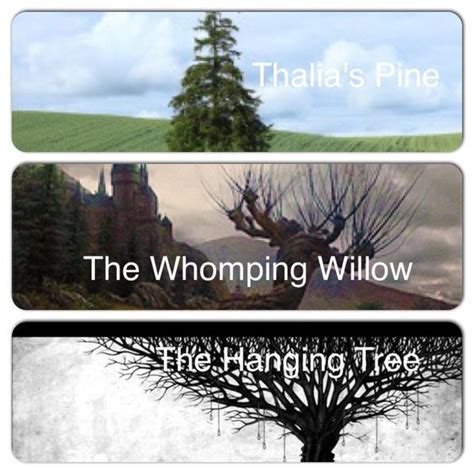 Thalia S Pine Tree In Percy Jackson Yahoo Search Results