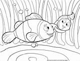 Coloring Nemo Fish Clown Pages Clownfish Coloringbay sketch template