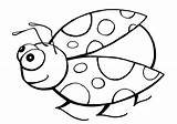 Pages Ladybug Coloring Print Animal sketch template