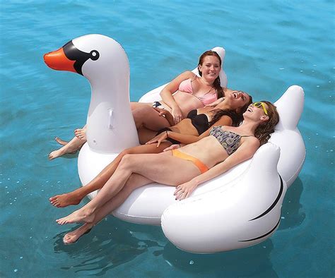 Giant Swan Pool Float Cool Sh T I Buy