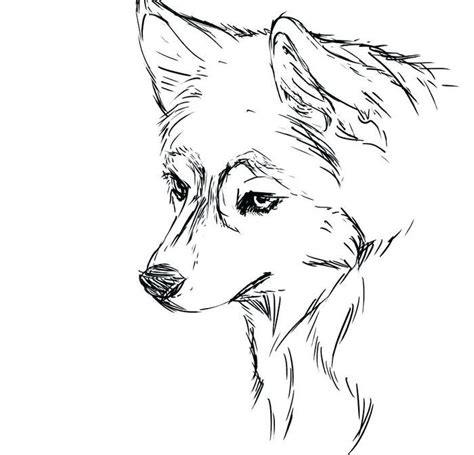 cute realistic husky coloring pages dog coloring page puppy coloring