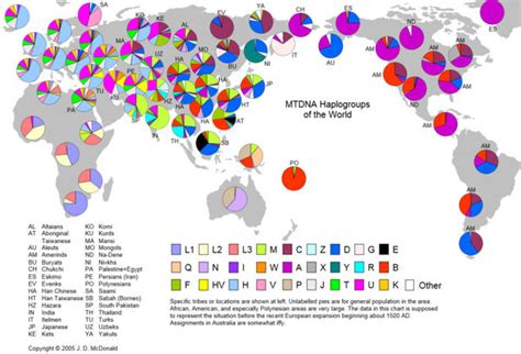 Major Y Dna And Mtdna Haplogroups