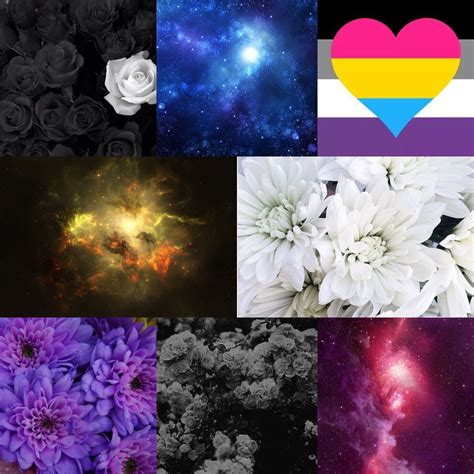 Lgbt Mood Boards — Asexual Panromantic Flower Galaxy Moodboard