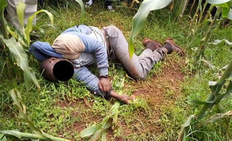 35 Year Old Man Dies During During Non Stop Sex In Maize Field With A