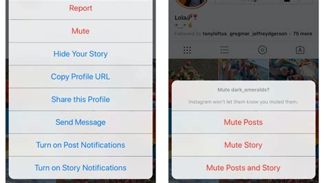 how to mute someone on instagram without unfollowing them thanks to