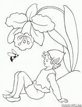 Disegni Coloring Elfi Bumblebee Hadas Duendes Elfen Fairy Colorkid Elves Trzmiel Blumenwiese Malvorlagen Bombo Hummel Abejorro Zangão Feen Fairies Elfos sketch template