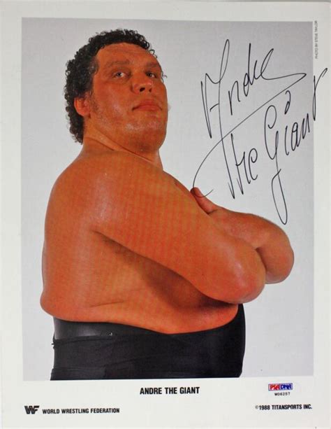 Andre The Giant Signed Sports Mem Cards And Fan Shop Ebay