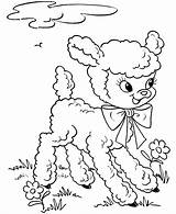 Coloring Easter Pages Lamb Lambs Printable Cute Sheets Print Baby Color Drawing Sheep Clip Line Kids Bluebonkers Fluffy Colouring Kindergarten sketch template