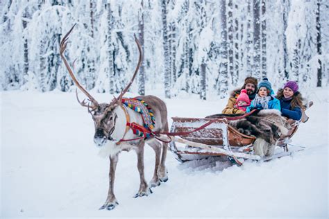 reindeer ride santa claus village rovaniemi lapland finland