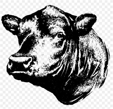 angus cattle red angus  calf operation clip art png xpx