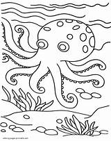 Coloring Sea Animals Pages Ocean Printable Octopus Print Color sketch template