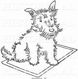 Dog Rug Sitting Scottie Illustration Historical Vector Outlined Version Al Picsburg sketch template