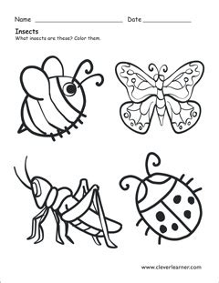 insect worksheets  preschools