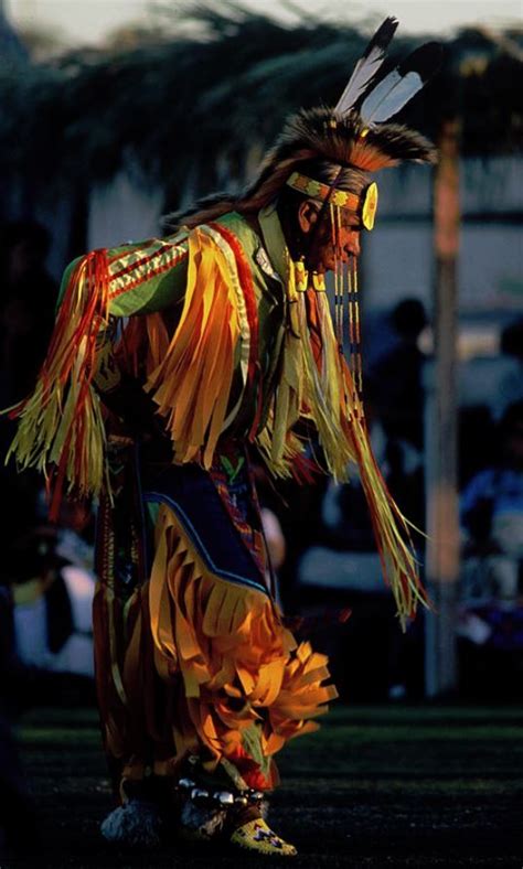 grass dancer american indian art native american indians native american photos