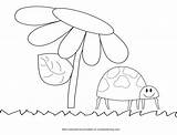 Ladybug Pages Cycle Life Color Kid Coloring Drawing Kids Preschoolers Lady Preschool Pix Colouring Bug Activities Crystalandcomp Grass House Themes sketch template