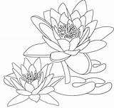 Lotus Colorful Delightful Coloringfolder sketch template