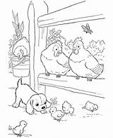 Coloring Pages Chicken Farm Animal Sheets Coloringfolder sketch template