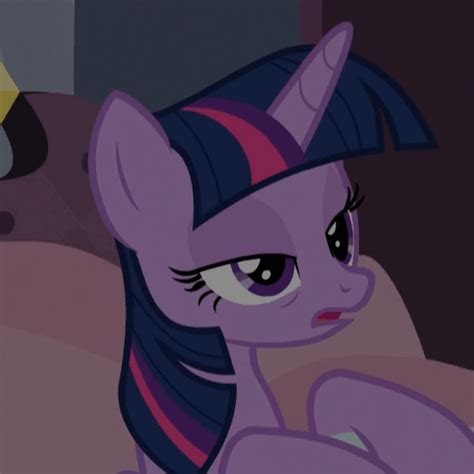 1337485 Alicorn Animated Blanket Cropped  Implied Sex