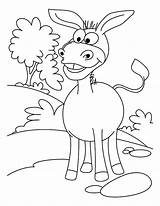 Coloring Donkey Grin Pages Mexican Big Designlooter Sunny Kids 776px 76kb sketch template