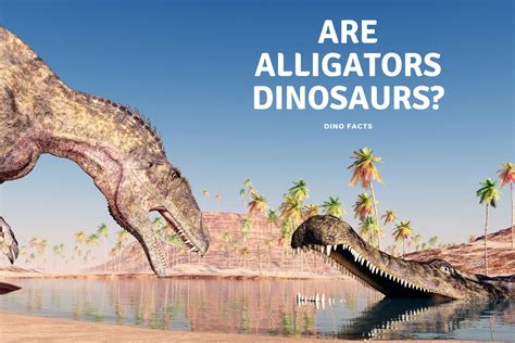 alligators dinosaurs dinosaur facts  kids