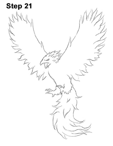 draw  phoenix