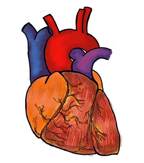 gambar jantung kartun hitam putih