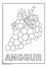 Anggur Mewarnai Buah sketch template